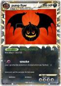 pump flyer