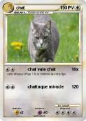 chat