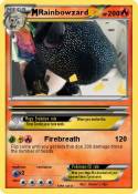 Rainbowzard