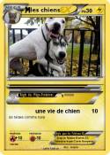 les chiens