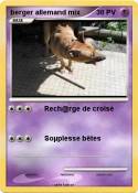 berger allemand