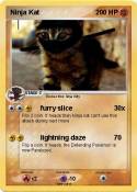 Ninja Kat