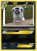 Boi