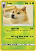 Doge