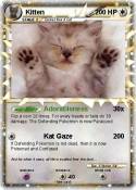 Kitten