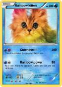 Rainbow kitten