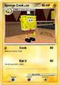 Sponge Cook