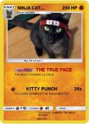 NINJA CAT....