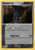 Midnight dog