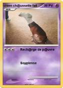 chien ch@ussett