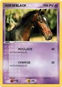 HORSEBLACK