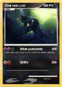 Chat noir