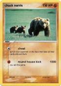 chuck norris 