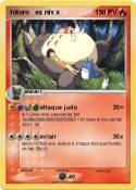 totoro ex niv x