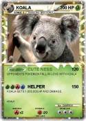 KOALA
