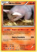 Minino Bonito