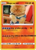 Mega sur kat