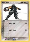 mini ninja