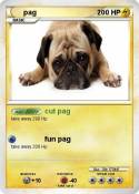 pag