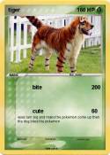 tiger