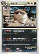 Grumpy cat