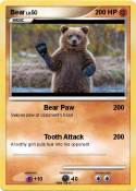 Bear