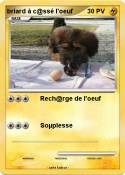 briard à c@ssé