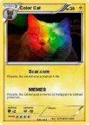 Color Cat