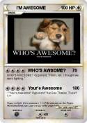 I'M AWESOME
