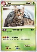 Chat