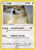 Doge