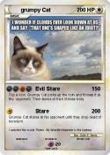 grumpy Cat