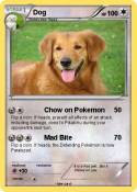 Dog