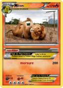 lion