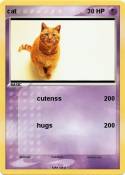 cat