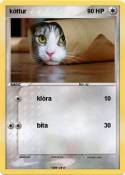 köttur