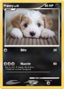 Puppy