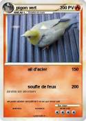 pigon vert