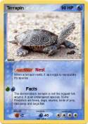 Terrapin