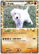 de pup