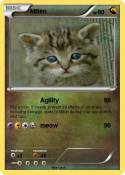 kitten