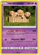 YEETER DOGES