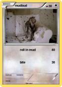 mudbud