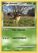 berger allemand