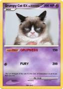 Grumpy Cat EX