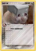 sad cat