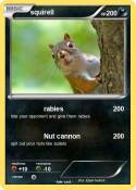 squirell