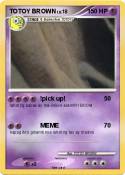 TOTOY BROWN