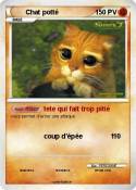 Chat potté
