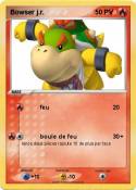 Bowser j.r.
